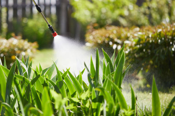24/7 Emergency Wasp Removal experts in Madison, WI